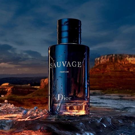 best price dior sauvage 60ml|dior sauvage cheapest deals.